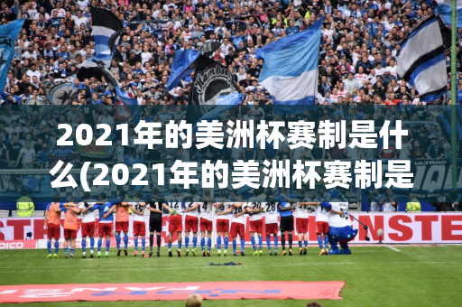 2021年的美洲杯赛制是什么(2021年的美洲杯赛制是什么意思)